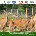 Fixed Knot Deer Fence / Grassland Wire Fencing / Livestock Netting